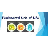 Fundamental Unit Of Life